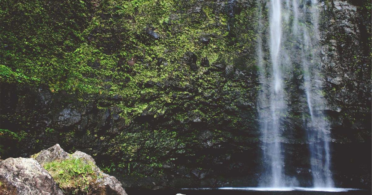 מעבר לאבטחת נתונים: אבטחת מודלי AI מפני התקפות עוינות וסיכוני פרטיות ב-2026