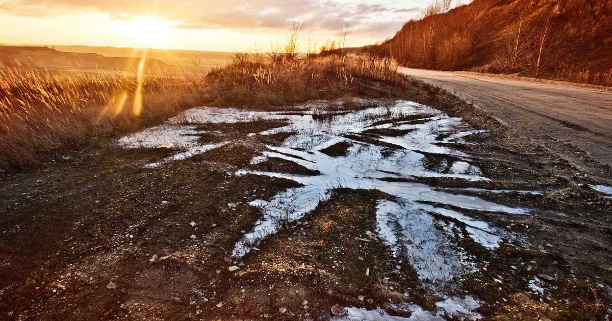 WebAssembly: מעבר לדפדפן – המהפכה השקטה שמניעה את עולם התוכנה ב-2026