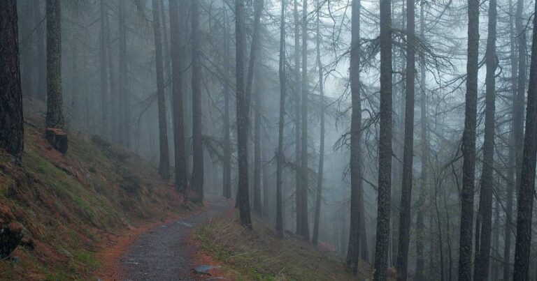 ניהול חשיפה מתמשך לאיומים (CTEM): המהפכה באימות אבטחה אוטונומי ב-2026