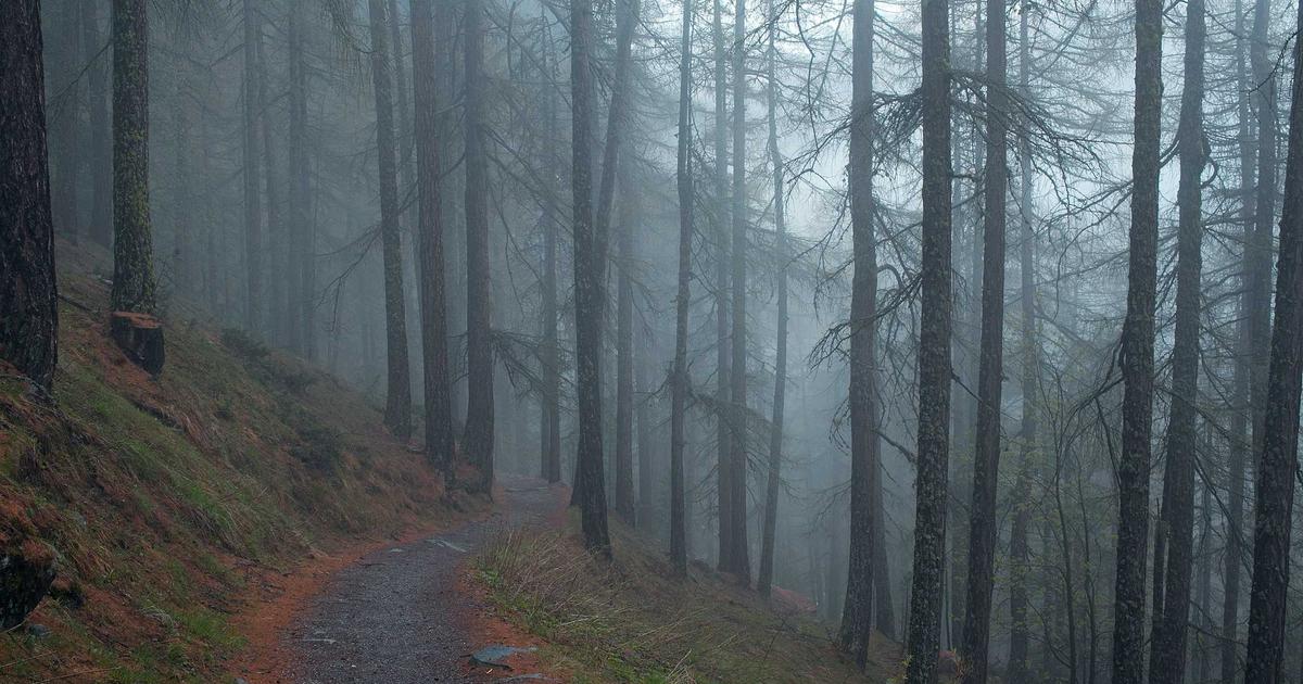 ניהול חשיפה מתמשך לאיומים (CTEM): המהפכה באימות אבטחה אוטונומי ב-2026