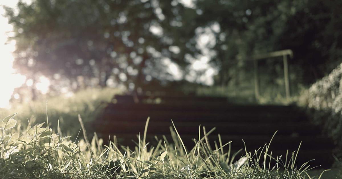 אבטחת נחילי סוכנים אוטונומיים: אתגר הסייבר המורכב של 2026