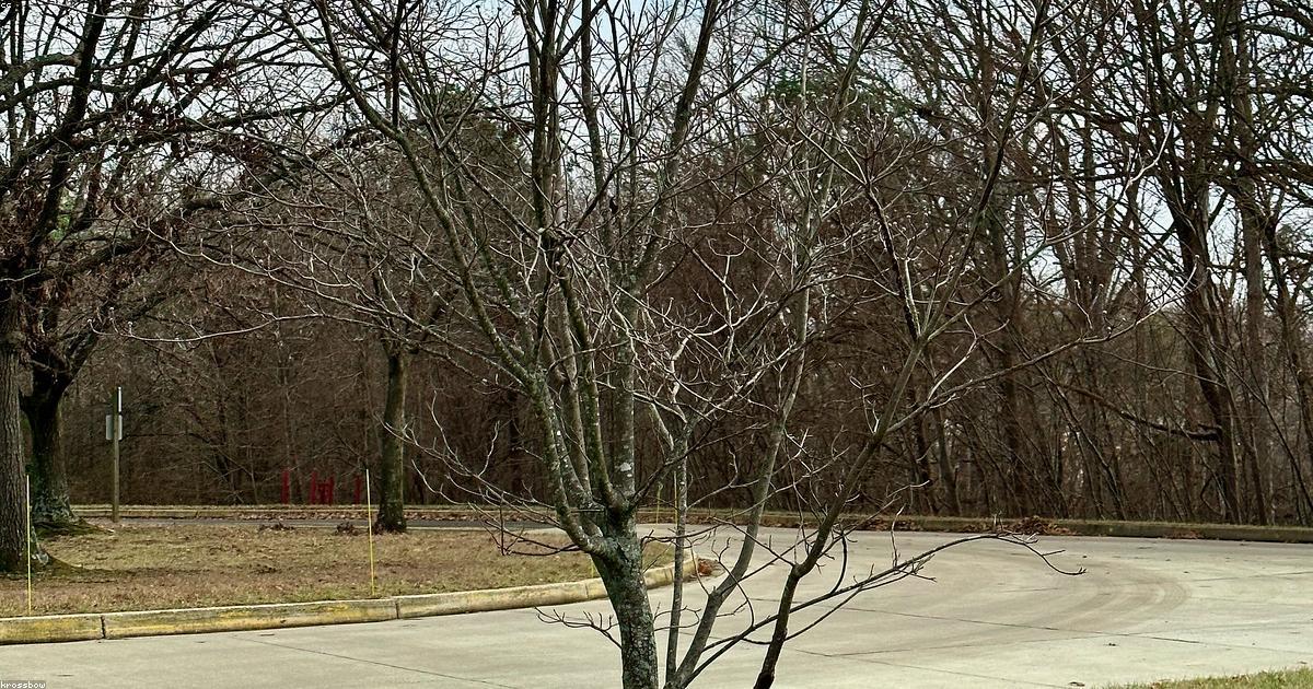 מהפכת ה-RWA וכלכלת הנכסים המתוכנתת: העתיד הפיננסי של 2026